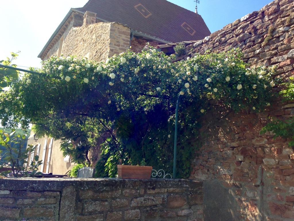 Le Vieux Chateau Bed & Breakfast Leynes Екстериор снимка